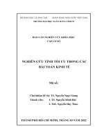 Báo cáo nghiên cứu khoa học đề tài cấp cơ sở: Nghiên cứu tính tối ưu trong các bài toán kinh tế