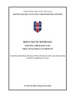 Báo cáo tự đánh giá: Chương trình đào tạo thạc sĩ ngành Luật kinh tế