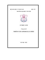 chuyên đề nhiễm nấm aspergillus phổi xâm lấn