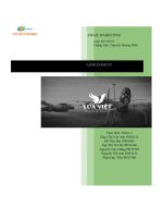 tiểu luận sử dụng thành thạo công cụ mail client chăm sóc khách hàng lửa việt