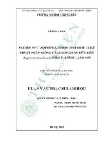Luận văn thạc sĩ lâm học: Nghiên cứu một số đặc điểm sinh thái và kỹ thuật nhân giống cây Hoàng đàn Hữu Liên (Cupressus tonkinensis Silba) tại tỉnh Lạng Sơn