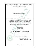 Luận án tiến sĩ lâm nghiệp: Nghiên cứu một số đặc điểm sinh học, sinh thái và kỹ thuật nhân giống loài Gõ đỏ (Afzelia xylocarpa (Kurz) Craib) tại khu bảo tồn thiên nhiên Hoại Nhang, huyện Xaythany thủ đô Viên Chăn, nước CHDCND lào