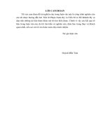 (Luận Văn Thạc Sĩ Hoá Học) Nghiên Cứu Các Chất Gây Hại Phát Sinh Trong Quá Trình Bảo Quản Cá Ngừ Vằn