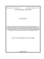 Luận văn thạc sĩ: Nghiên cứu mối liên hệ giữa độ chặt và một số tính chất vật lý của đất dưới tán 3 loại rừng: Thông Mã vĩ, Keo Tai tượng, Keo Lá tràm tại núi Luốt, Trường Đại học Lâm nghiệp, thị trấn Xuân Mai, huyên Chương Mĩ, Hà Nội