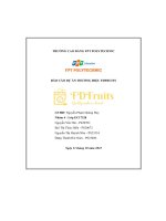 tiểu luận báo cáo dự án thương hiệu fdfruits