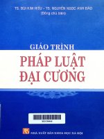 Giáo trình pháp luật đại cương - Bùi Kim Hiếu, Nguyễn Ngọc Anh Đào