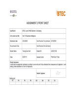 unit 14 business intelligence 3