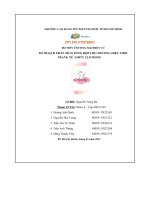 tiểu luận kế hoạch phân tích tổng hợp cho thương hiệu thờitrang nữ amity clothing