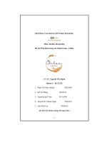 tiểu luận đề tài phụ kiện trang sức thười trang chilee