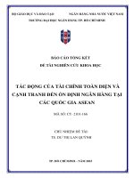 Đề tài nghiên cứu khoa học: Tác động của tài chính toàn diện và cạnh tranh đến ổn định ngân hàng tại các quốc gia ASEAN