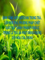 sinh tổng hợp catechin trong trà lên men trà phương pháp chiết xuất các thành phần phenolic trong lá trà