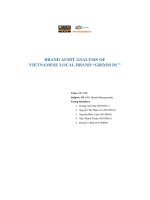 brand audit analysis of vietnamese local brand grimm dc