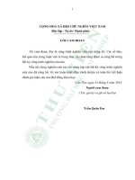 Luận văn thạc sĩ: Nghiên cứu ảnh hưởng của một số thông số đến chất lượng và chi phí năng lượng riêng khi gia công bánh răng bằng phương pháp lăn răng trên máy Y3150/3