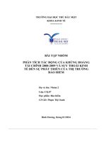 Bài Tập Nhóm Phân Tích Tác Động Của Khủng Hoảng Tài Chính 2008-2009 Và Suy Thoái Kinh Tế Đ Ến Sự Phát Triển Của Thị Trường Bảo Hiểm.pdf