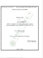 Luận văn thạc sĩ khoa học lâm nghiệp: Tiếp tục nghiên cứu chọn giống Keo lá tràm (Acacia auriculiformis A.cunn ex Benth) có năng suất cao