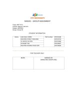 mas202 group assignment description of sample data