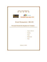 brand management bra301 personal brand development in vietnam