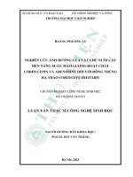 Luận văn thạc sĩ công nghệ sinh học: Nghiên cứu ảnh hưởng của vật chủ nuôi cấy đến năng suất, hàm lượng hoạt chất Cordycepin và Adenosine đối với Đông trùng hạ thảo Cordyceps militaris