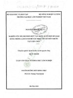 Luận văn thạc sĩ khoa học lâm nghiệp: Nghiên cứu tốc độ phân hủy vật rụng dưới một số loại rừng trồng làm cơ sở để xác định chu kỳ đốt trước vật liệu cháy