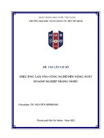 Đề tài nghiên cứu khoa học: Hiệu ứng lan tỏa công nghệ đến năng suất doanh nghiệp trong nước