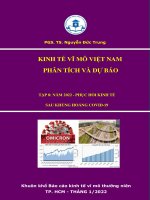 Kinh tế vĩ mô Việt Nam : Phân tích và dự báo. Tập 8: Năm 2022 - Phục hồi kinh tế sau khủng hoảng Covid-19 / Nguyễn Đức Trung cb., [và nh.ng.kh.]