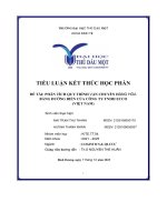 đề tài phân tích quy trình vận chuyển hàng hóa bằng đường biển của công ty tnhh ecco việt nam