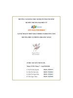 tiểu luận lập kế hoạch triển khai mobile marketing chothương hiệu xà phòng organic savon