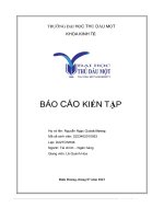 Báo Cáo Kiến Tập Ngân Hàng Thương Mại Cổ Phần Đầu Tư Và Phát Triển Việt Nam.pdf