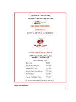 tiểu luận dự án marketing ăn vặt fpoly