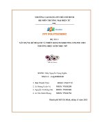 tiểu luận xây dựng kế hoạch và triển khai marketing online cho thương hiệu gốm mộc mỹ