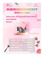 tiểu luận dự án kop cosmetics