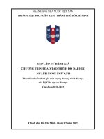 Báo cáo tự đánh giá: Chương trình đào tạo trình độ đại học ngành Ngôn ngữ anh