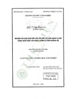 Luận văn thạc sĩ khoa học lâm nghiệp: Nghiên cứu hiệu quả dập lửa của một số loại dụng cụ thủ công chữa cháy cho rừng trồng ở tỉnh Quảng Trị