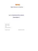 unit 14 business intelligence 2