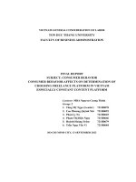 consumer behavior affects on determination of choosing freelance platform in vietnam especially constant content platform