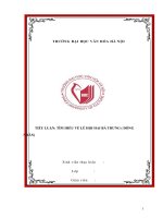 Tìm hiểu về lễ hội hai bà trưng ( Đồng nhân)