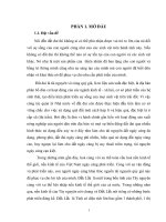 Báo Cáo  -  Chuyên Đề - Đánh Giá Tình Hình Quản Lý Nhà Nước Về Đất Đai Tại Xã Tân Hòa -  Huyện Buôn Đôn –  Tỉnh Đắk Lắk  Từ Năm 2006 Đến Năm 2010