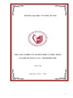 Tiểu luận nghiên cứu sự phát triển và thực trạng