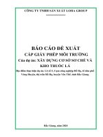 BÁO CÁO ĐỀ XUẤT
CẤP GIẤY PHÉP MÔI TRƯỜNG
Của dự án: XÂY DỰNG CƠ SỞ SƠ CHẾ VÀ
KHO THUỐC LÁ