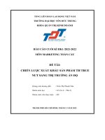 đề tài chiến lược xuất khẩu sản phẩm th true nut sang thị trường ấn đ