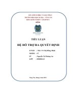 tiểu luận hệ hỗ trợ ra quyết định