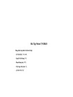 bài tập nhóm cnxhkh