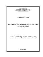 Phát triển nguồn nhân lực giảng viên của Đại học Huế