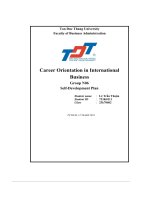 career orientation in international business self development plan