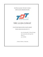 tiểu luận cuối kỳ chuyên đề định hướng nghề nghiệp trong kinh doanh quốc tế