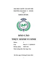 báo cáo thực hành vi sinh kĩ thuật cấy bệnh phẩm máu tìm vi khuẩn gây bệnh