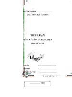 TIỂU LUẬN VỀ MƯA AXIT
