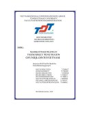 marketing strategy the market penetraion of uniqlo in to vietnam