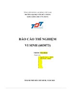 báo cáo thí nghiệmvi sinh 603073