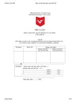 tên tiểu luận các vi phạm pháp luật về bảo đảm trật tựan toàn giao thông và giải pháp phòng chống